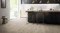 Moduleo ROOTS 40 Midland Oak 22231