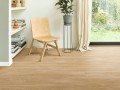 Moduleo ROOTS 55 EiR Laurel Oak 51282 XL