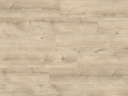 Moduleo ROOTS 55 EiR Galway Oak 87269