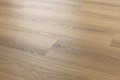 Arbiton Woodric Acoustic EiR Dąb Garland CWSA208