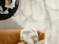 Pergo Stavanger Pro Dąb Sól Morska L0245-04998