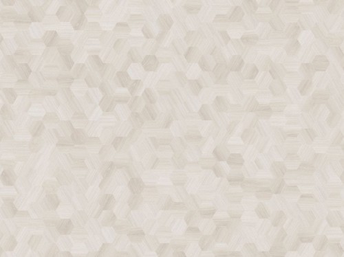 Moduleo Moods Hexagon Mono 614