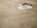 Arbiton Chevron Dąb Princeton jodełka francuska - CLC228