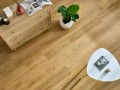 Arbiton Amaron Wood Dąb Sierra - CA154