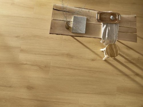 Arbiton Amaron Wood EiR Acoustic Dąb Virgin - CASA227