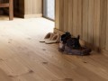 Alloc Grand Avenue Comfort Panderosa Pine - 62002808