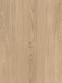 Alloc Grand Avenue Comfort Via Giulia - 62002824