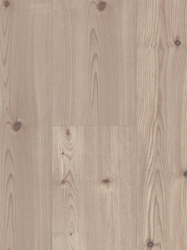 Alloc Grand Majestic Forest Pine - 62002827