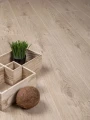 Premium Floor Dąb Naturalny 88853