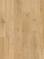 Premium Floor Dąb Klasyczny 87719