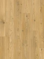 Premium Floor Dąb Jantar 87718
