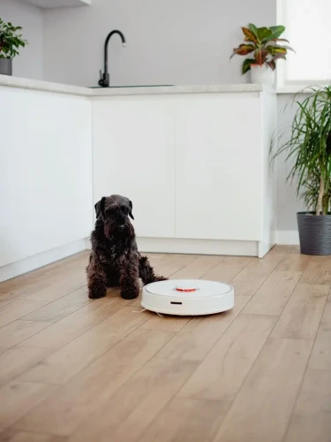 Premium Floor Dąb Sękaty 88297
