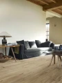 Premium Floor Dąb Garda 88016