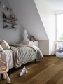 Pergo Dąb Brązowy Łąkowy V4431-49247