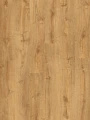 Quick-Step Dąb Jesienno Miodowy AVMPU40088