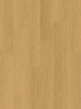 Quick-Step Dąb Miodowy AVMPU40098