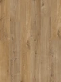 Quick-Step Dąb Bawełniany Naturalny AVMPU40104
