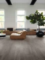 Quick-Step Dąb Bawełniany Przytulny Szary AVMPU40202