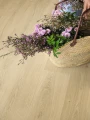 Quick-Step Botaniczny Beż AVMPU40236