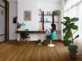 Quick-Step Dąb Karmelowy Botaniczny AVMPU40315