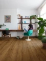 Quick-Step Dąb Karmelowy Botaniczny AVMPU40315