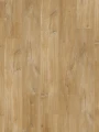 Quick-Step Dąb Canyon Naturalny AVSPU40039