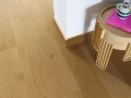 Quick-Step Dąb Coast Miodowy AVSPU40320