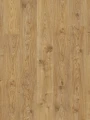 Quick-Step Dąb Wiejski Naturalny AVSPT40025