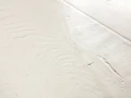 Quick-Step Dąb Biały Malowany SIG4753