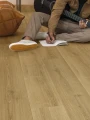 Quick-Step Dąb Szczotkowany Naturalny, ciepły SIG4762