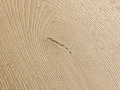 Quick-Step Dąb Szczotkowany Naturalny SIG4763