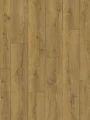 Quick-Step Dąb Miodowy Brązowy CLM5792