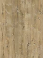 Quick-Step Dąb Żytni IMU8257