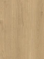 Alloc Odin Oak 62003421