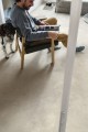 Quick-Step MUSE Beton Barwiony - MUS5491